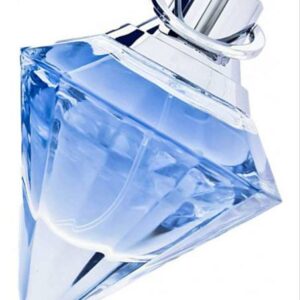 Wish eau de parfum (testeur)